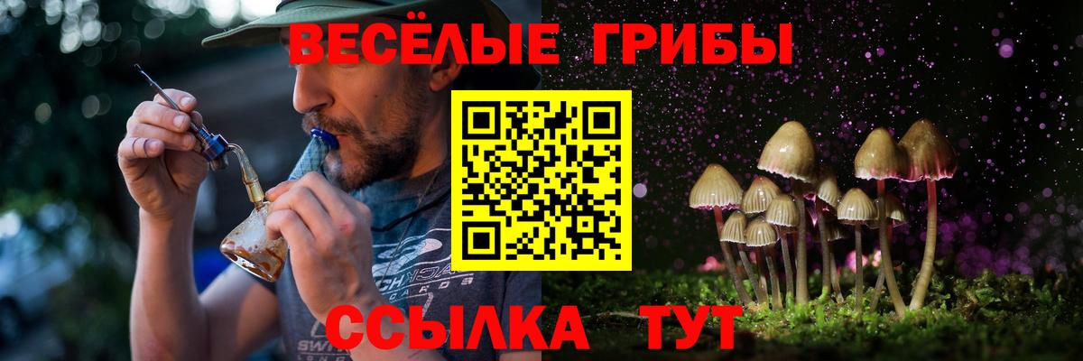Галлюциногенные грибы Magic Shrooms  Псилоцибиновые грибы ЛСД  Нурлат  Вход с VPN 